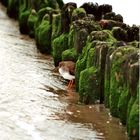 Am Strand von Norderney