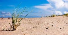 Am Strand von Norderney