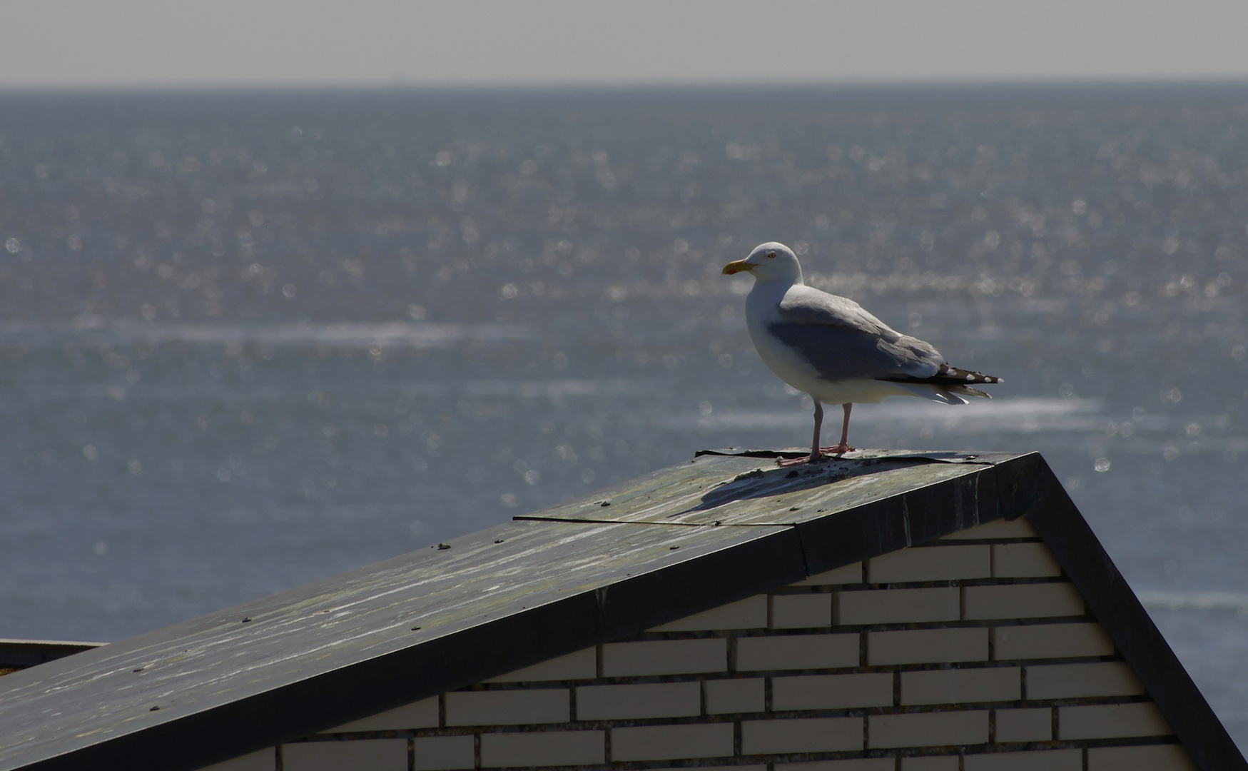 am Strand von Norderney