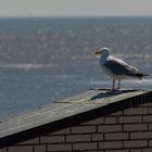 am Strand von Norderney