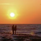 Am Strand von Nordholland (2)