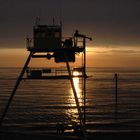 Am Strand von Nordholland (3)