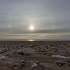 Am Strand von Nørre Vorupør