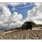 Am Strand von Nymindegab gesichtet......