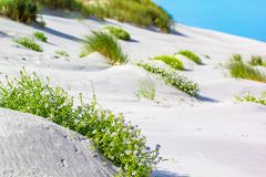 Am Strand von Oerd II