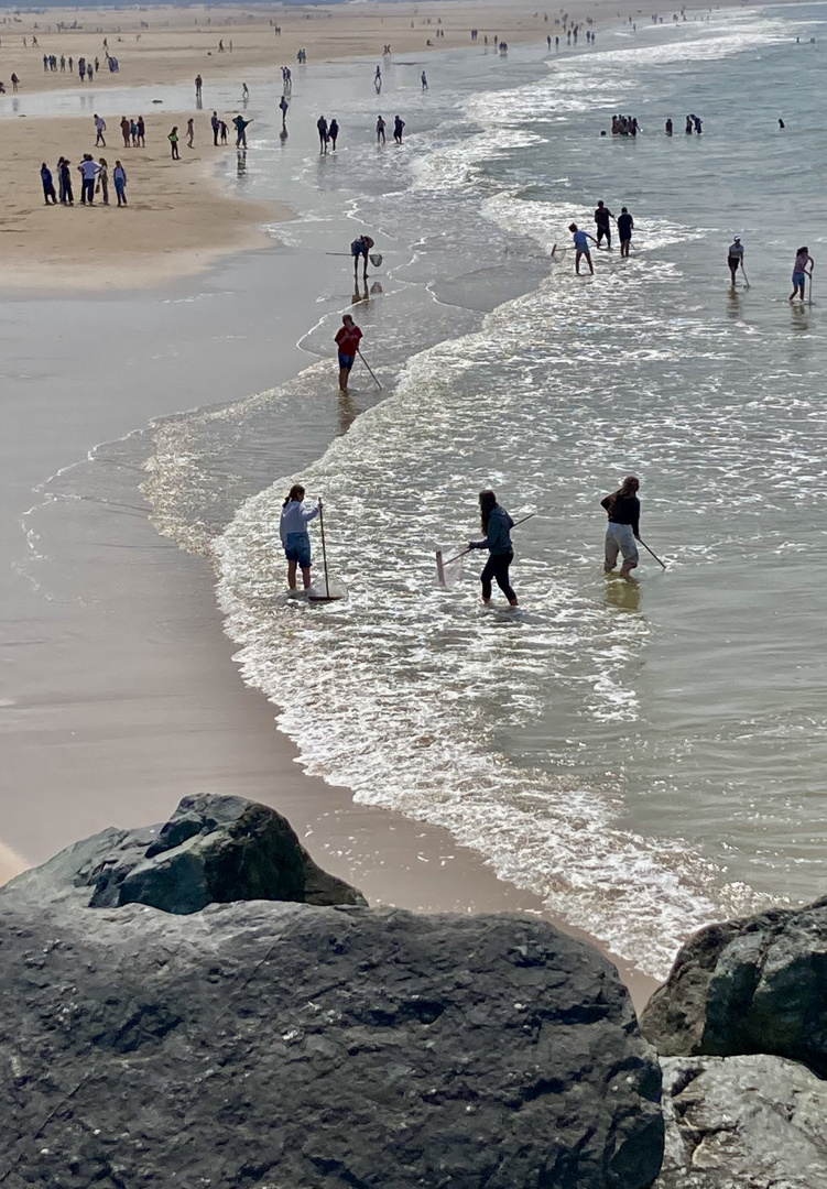 Am Strand von Oostende (Belgien)