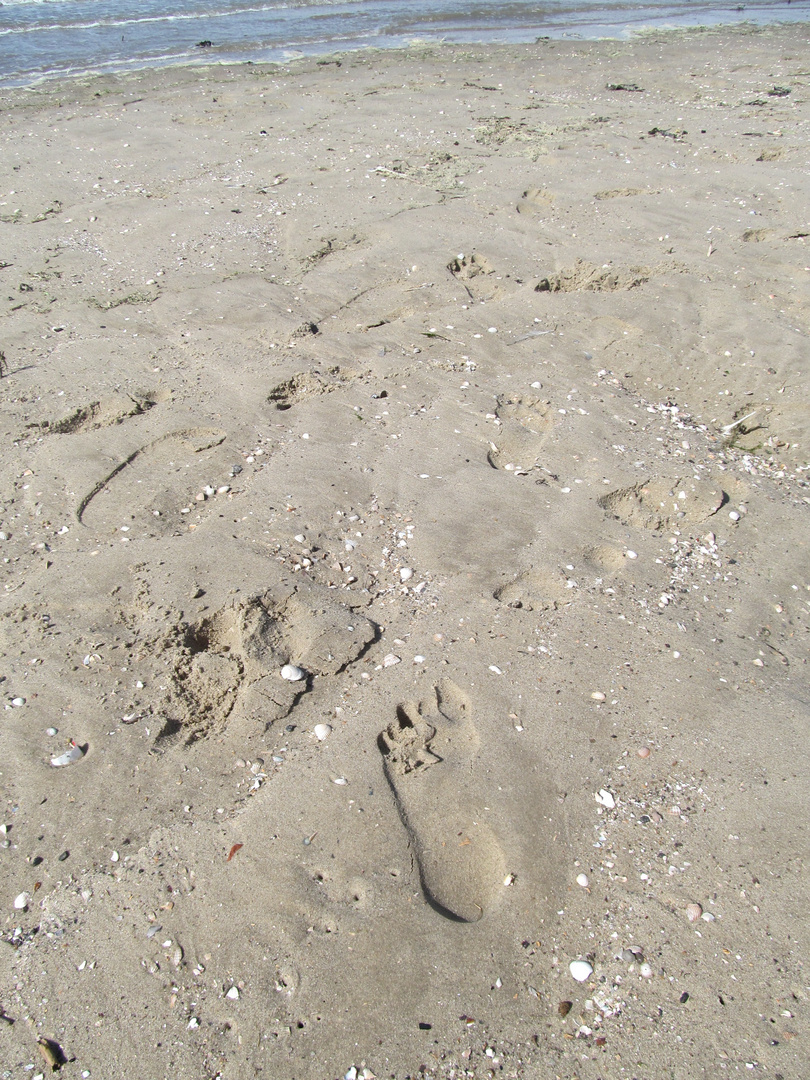 am Strand von Otterndorf ...