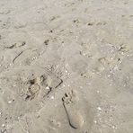 am Strand von Otterndorf ...