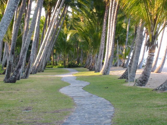 Am Strand von Palm Cove