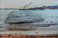 Am Strand von Palma de Mallorca