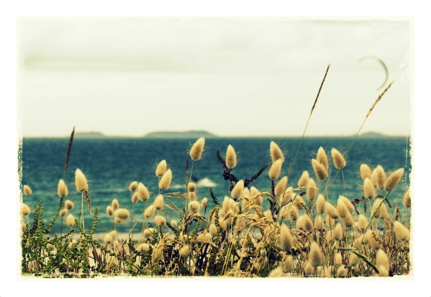 am Strand von Port Blanc