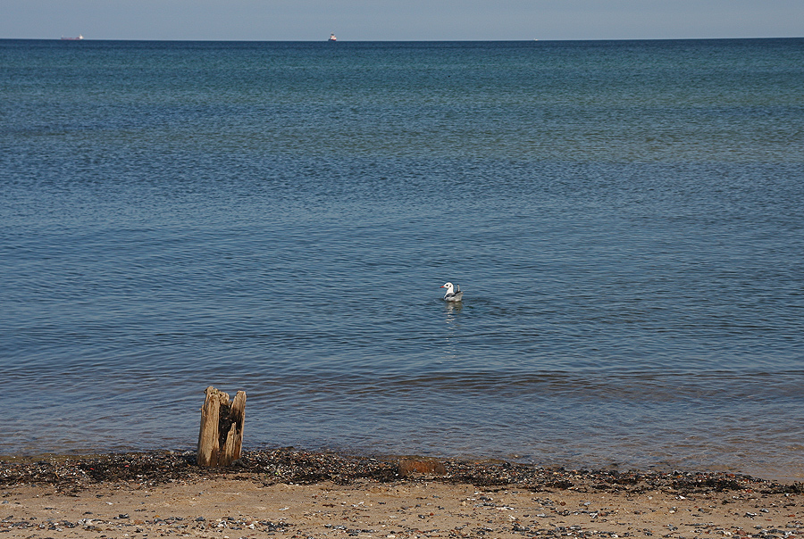 Am Strand von Prora...