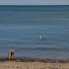 Am Strand von Prora...