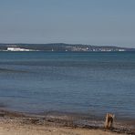 Am Strand von Prora II...