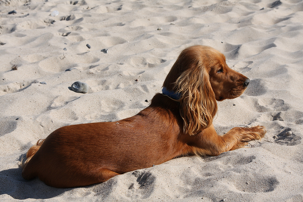 Am Strand von Prora IV....