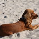 Am Strand von Prora IV....