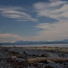 Am Strand von Quadra Island, Kanada