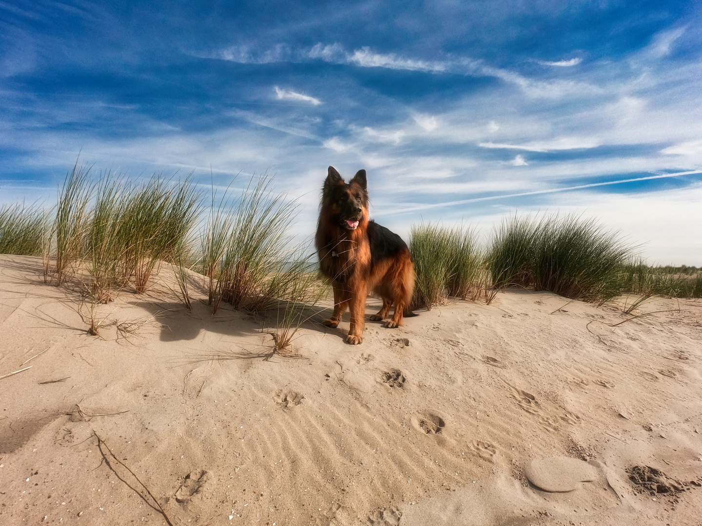 Am Strand von Renesse