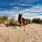 Am Strand von Renesse