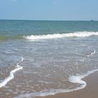 Am Strand von Renesse /Schouwen-Duiveland. 