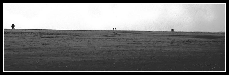 Am Strand von Renesse/Zeeland