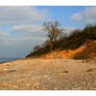 Am Strand von Rerik