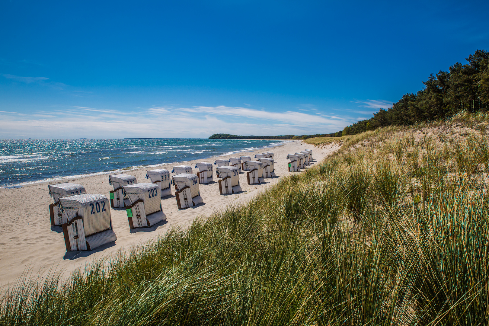 Am Strand von Rügen