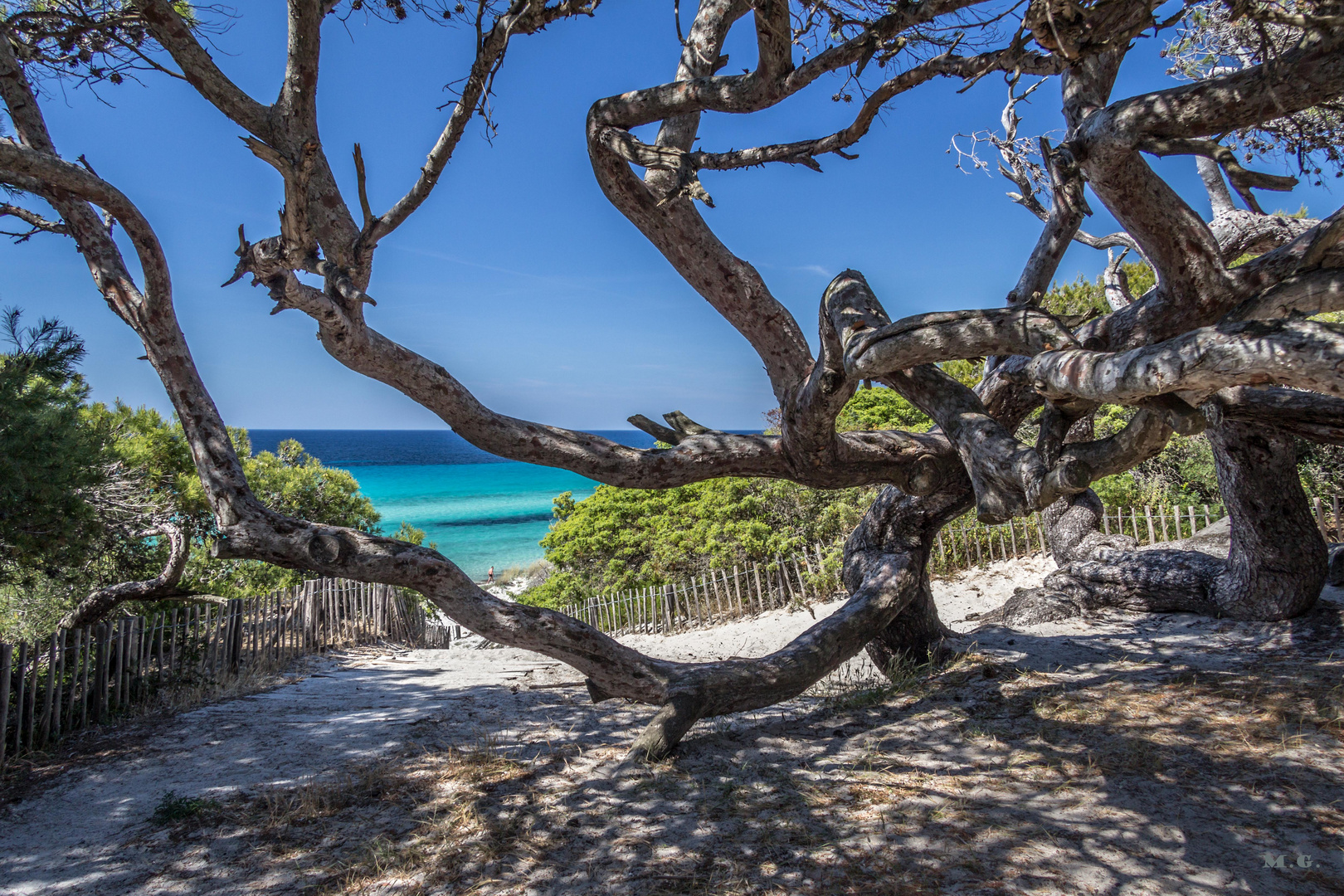 Am Strand von Saleccia