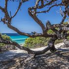 Am Strand von Saleccia