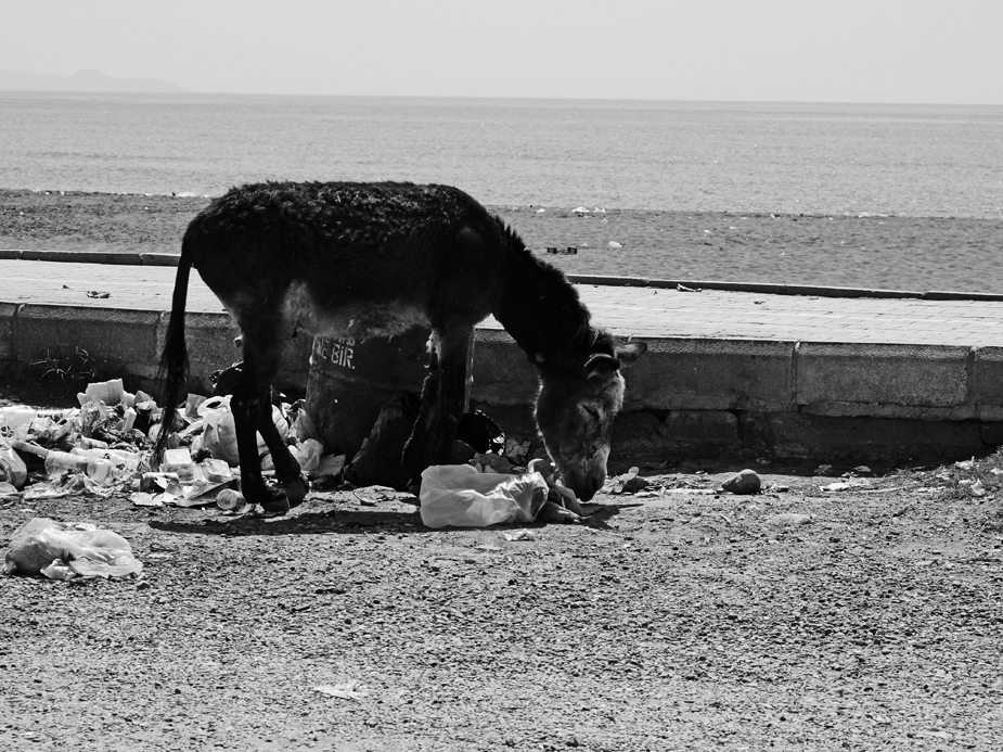 Am Strand von Samandag