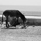 Am Strand von Samandag