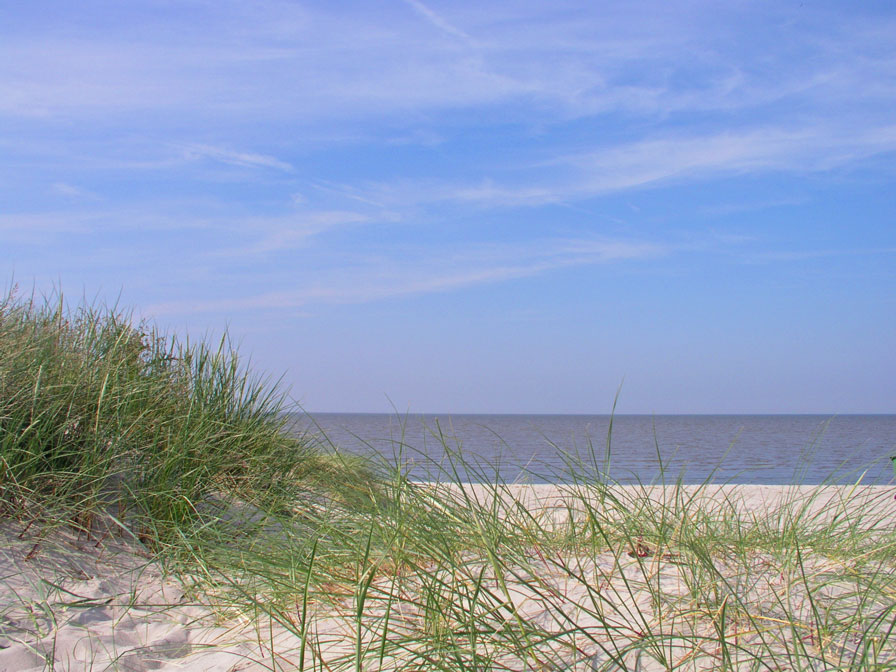 Am Strand von Schillig