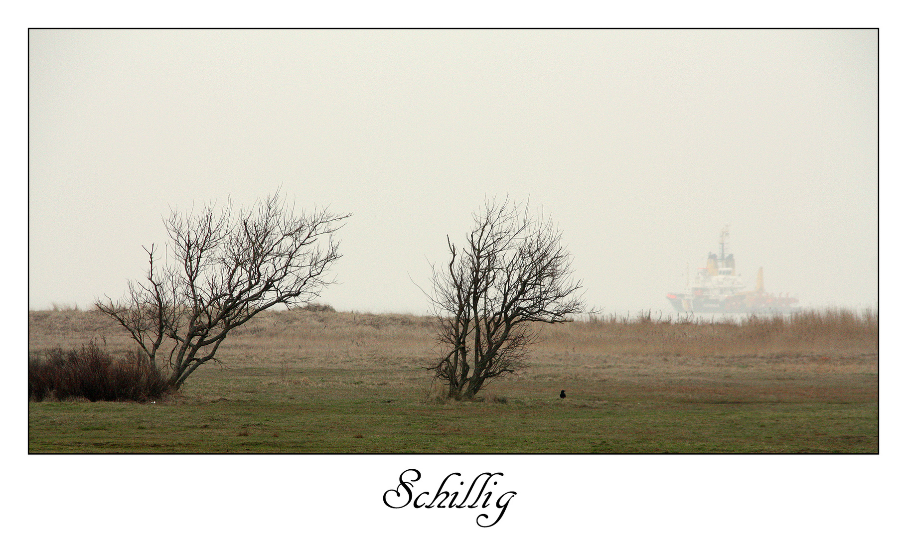 Am Strand von Schillig