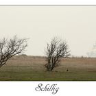 Am Strand von Schillig