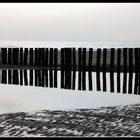 Am Strand von Schouwen-Duiveland