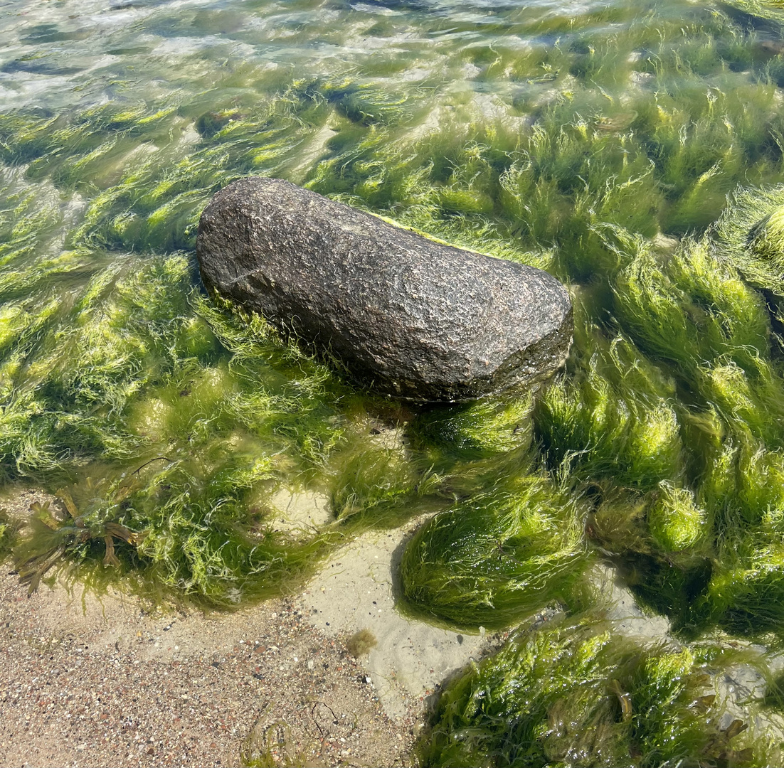 Am Strand von Sellin auf Rügen 