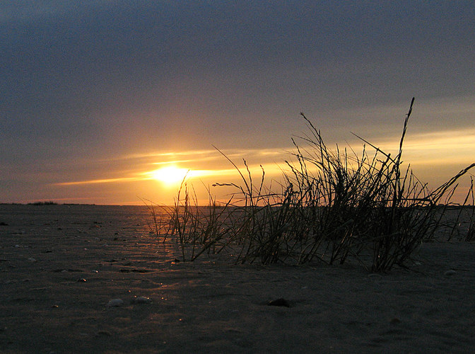 am strand von spo 2