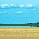 Am Strand von St.Peter Ording