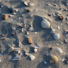 Am Strand von St.Peter Ording