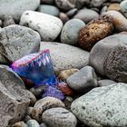 Am Strand von Tamadite