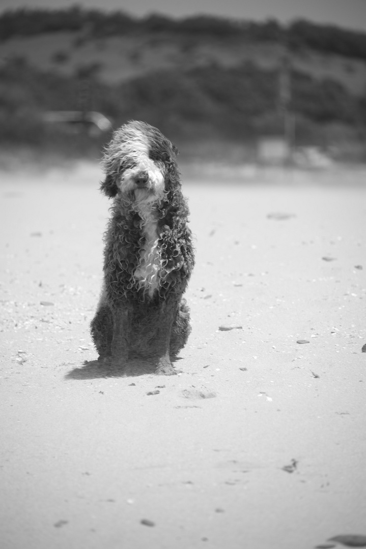 Am Strand von Tarifa