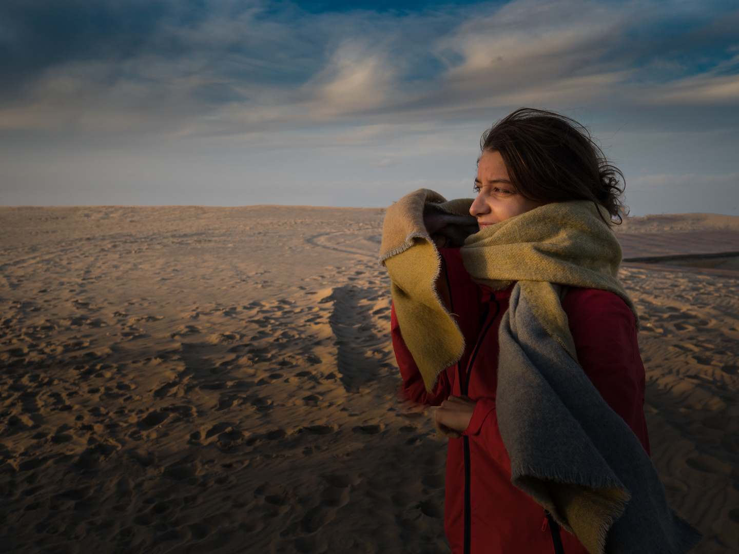 Am Strand von Texel