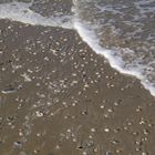 AM Strand von Texel