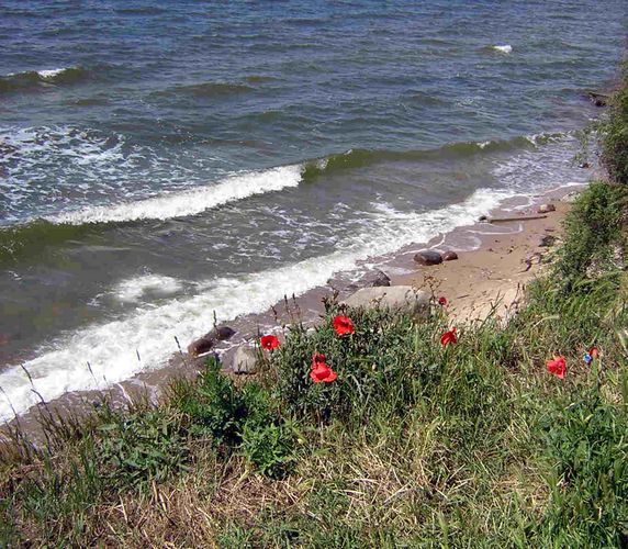 Am Strand von Thiessow