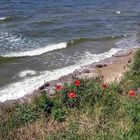 Am Strand von Thiessow