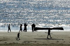 Am Strand von Tofino, Vancouver Island