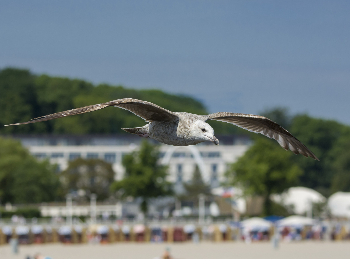 am Strand von Travemünde