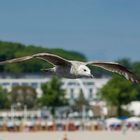 am Strand von Travemünde