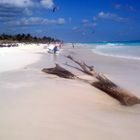 Am Strand von Tulum