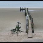 am Strand von Utersum